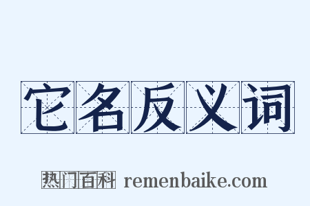 它名反义词是什么意思的图片